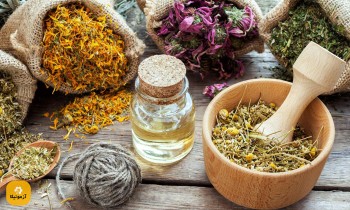 اهمیت گیاهان و معرفی رشته گیاهان دارویی و معطر